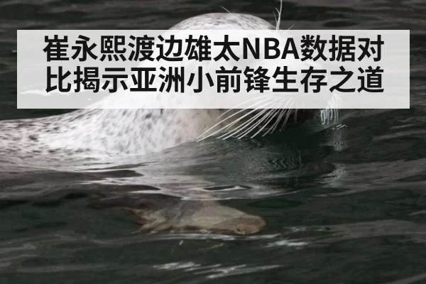 崔永熙渡边雄太NBA数据对比揭示亚洲小前锋生存之道